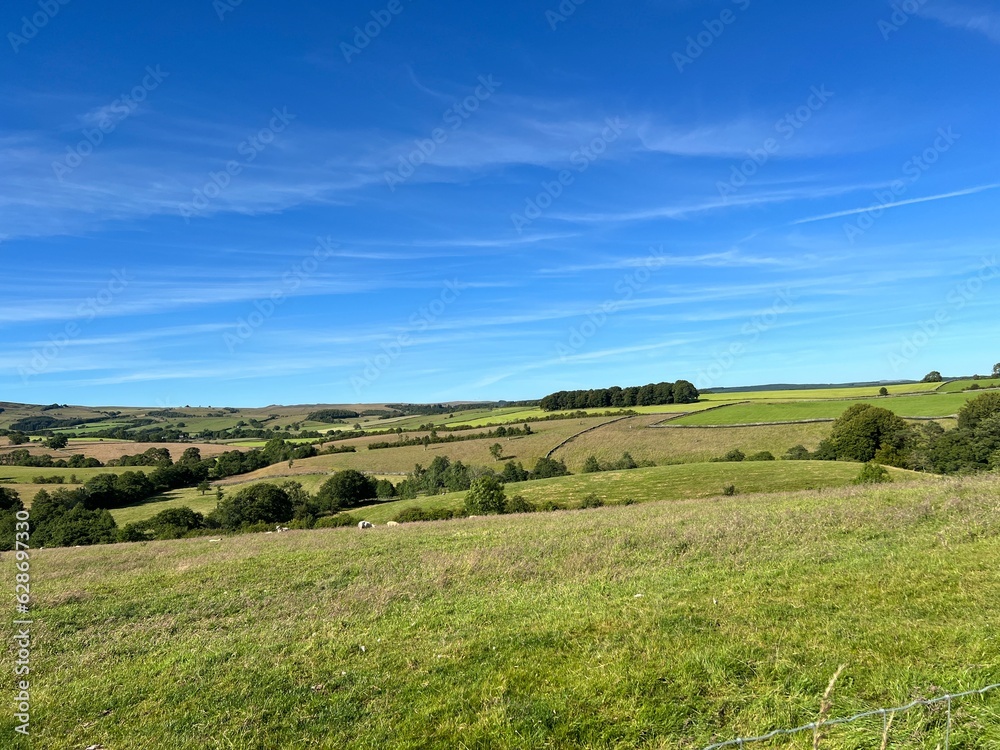Large rural landscape, with rolling fields, trees, and wild plants near, Slaidburn, UK
