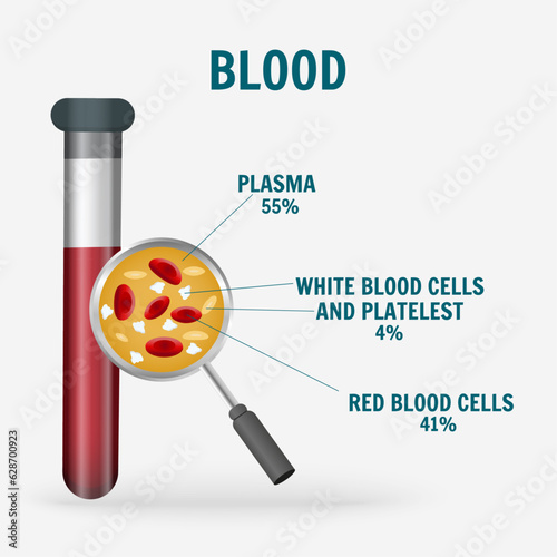 Medical infographic of blood,  bloody components in vector