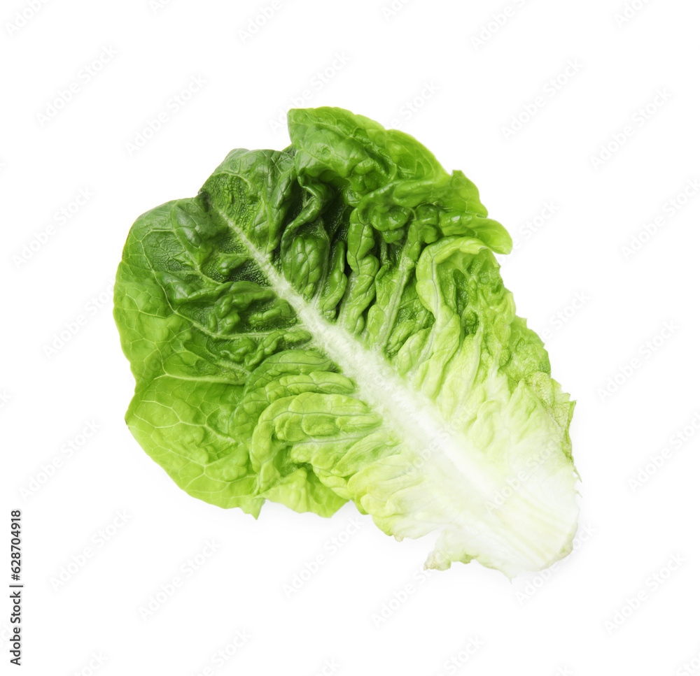 Fresh green leaf of romaine lettuce isolated on white, top view Fresh green leaf of romaine lettuce isolated on white, top view