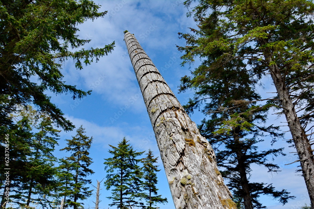 Fototapeta premium Historic Totem Poles at Skedans, Haida Gwaii, BC, Canada