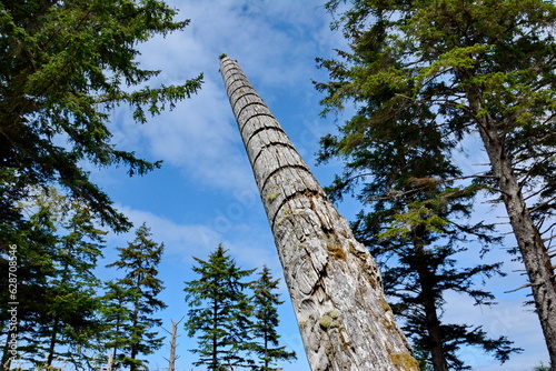 Historic Totem Poles at Skedans, Haida Gwaii, BC, Canada photo