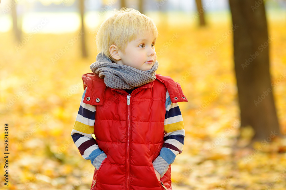 Portrait of little boy during stroll in the forest at sunny autumn day