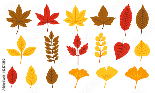 秋の植物の手書きベクターイラストセット／紅葉・イチョウ・カエデ・葉っぱ・落ち葉