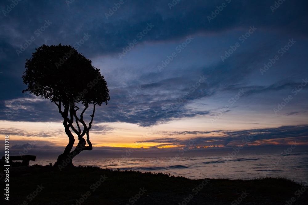 Sundown, Tree silhouette