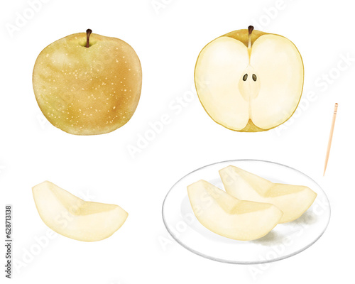 Set of Japanese pears painted by digital watercolor