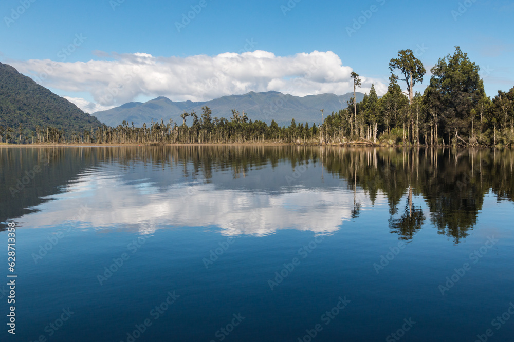 podocarp trees with blue sky reflecting in Lake Moana (Bruner) on West Coast of South Island, New Zealand