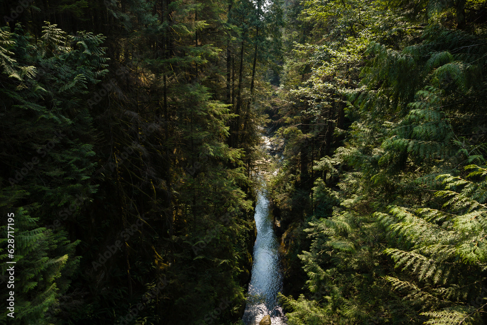 Fototapeta premium A clean mountain river flows in a gorge surrounded by tall trees. Natural background. Travel and tourism concept image, selective focus.