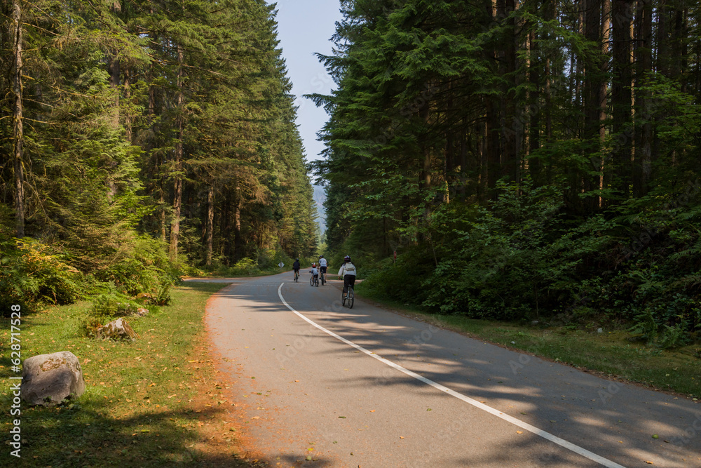 Active life - cycling. Cyclists on the road in a coniferous forest. Mountain road between deep forest. bike ride with friends
Active life - cycling. Cyclists on the road in a coniferous forest. Mountain road between deep forest. bike ride with friends