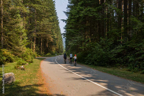 Active life - cycling. Cyclists on the road in a coniferous forest. Mountain road between deep forest. bike ride with friends 