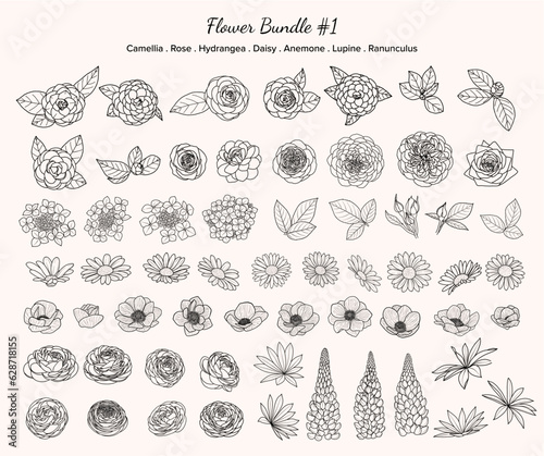 Canvastavla Hand-drawn Flower Elements Set, Floral Fine Line Art, Blooms, Buds, Leaves, Vect