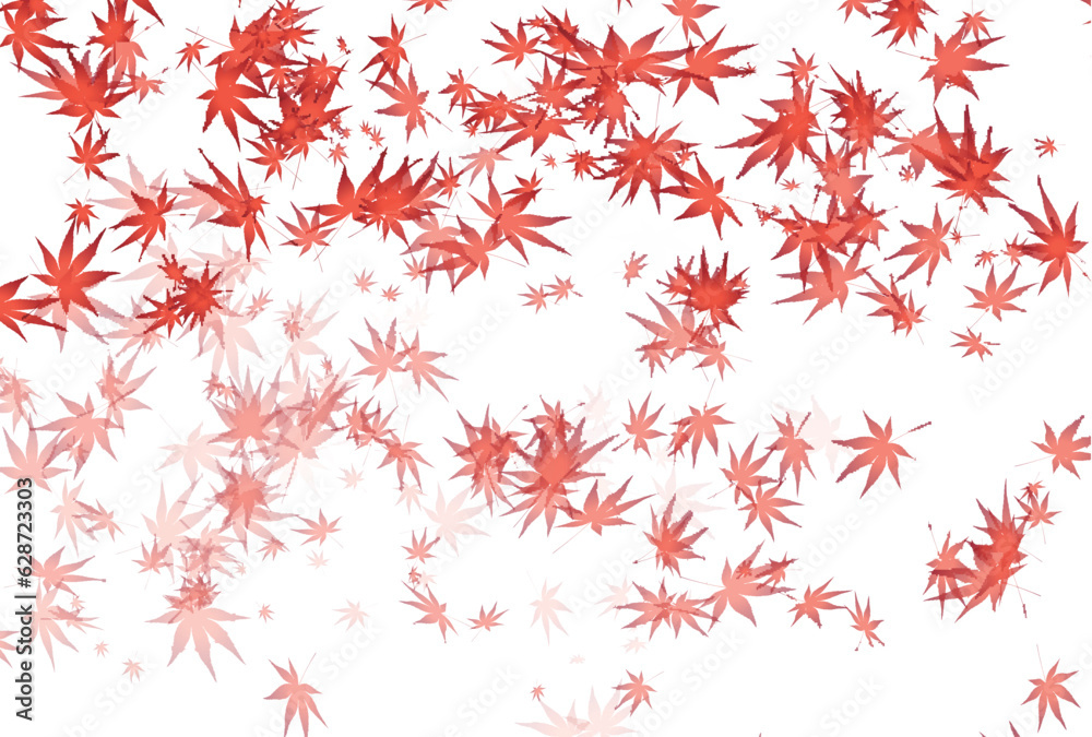 紅葉 もみじ 秋 背景 紅葉 もみじ 秋 背景