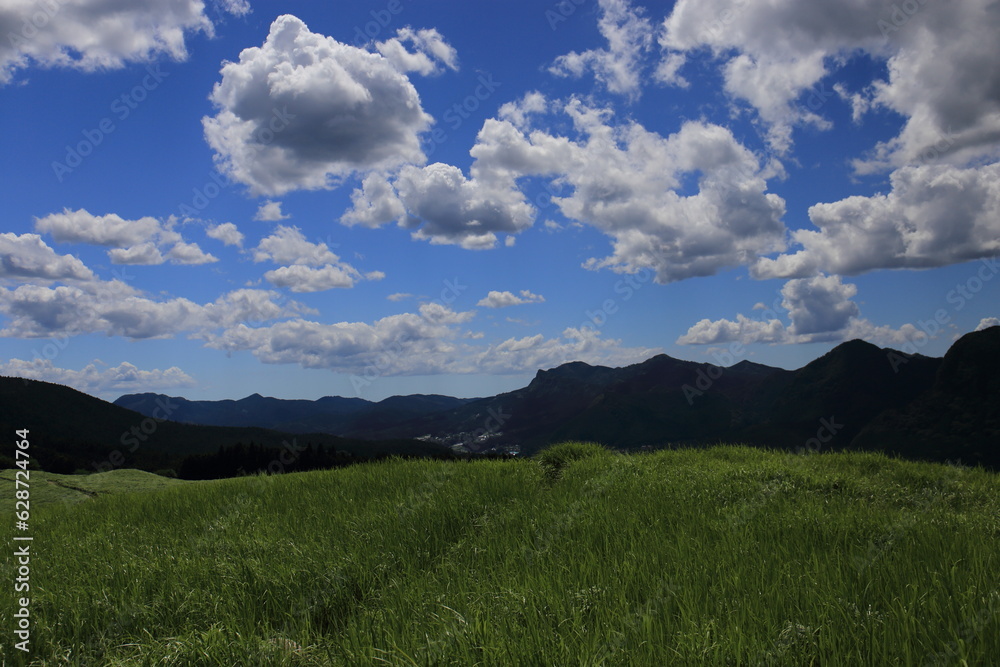 Obraz premium Scenery of a grass carpet on the Soni Plateau in Nara Prefecture, Japan