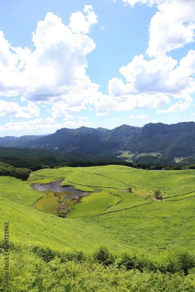 Scenery of a grass carpet on the Soni Plateau in Nara Prefecture, Japan