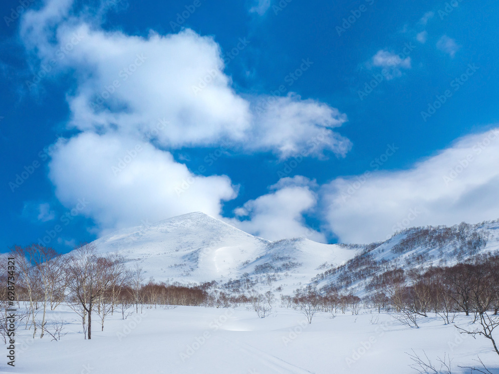 Obraz premium Fields and mountains covered with fresh snow (Niseko, Hokkaido, Japan)