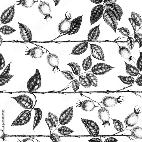 Wild rose flowers drawing and sketch with pointillism on white backgrounds. Vintage pattern of branch with rosehip fruits and leaves.