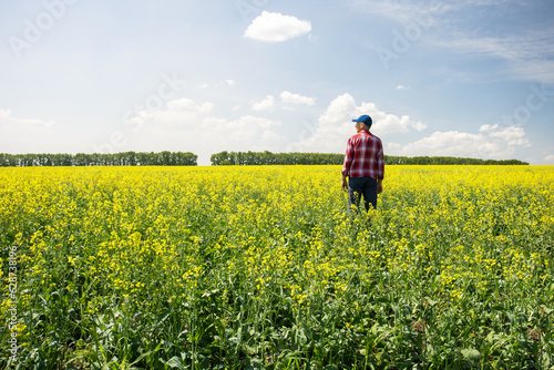 farmer standing in rape field examining crop.