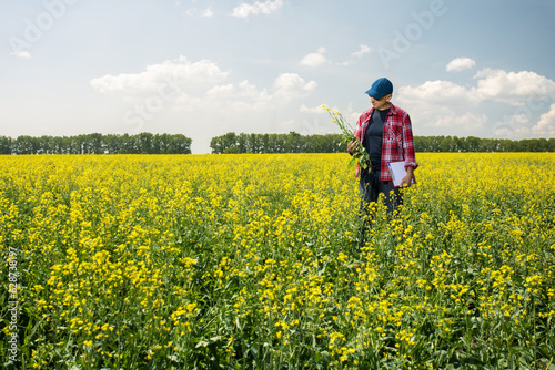 Man examining blooming.  Agribusiness  man controlled his field. Place for text.