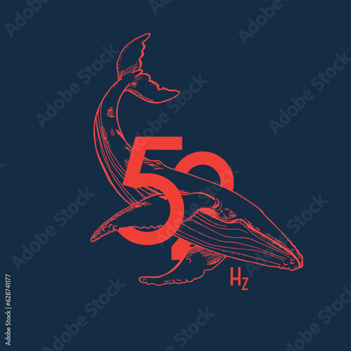 Whale 52Hz