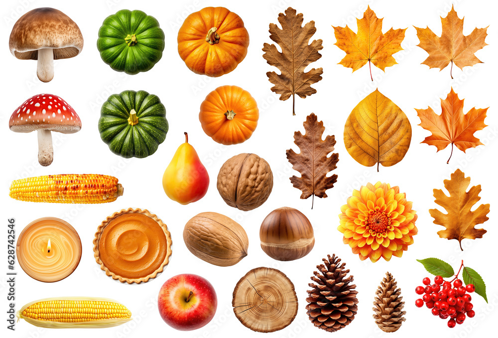 Collection of various autumn objects - leaves, mushrooms, nuts, fruits etc, isolated on transparent background - obrazy, fototapety, plakaty 