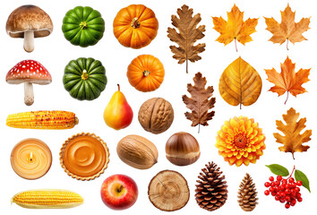 Collection of various autumn objects - leaves, mushrooms, nuts, fruits etc, isolated on transparent background