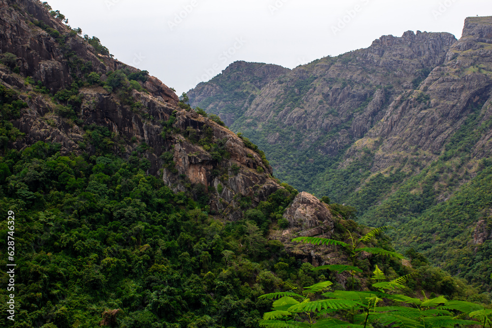 Scenic landscape of the kolli hills in the Namakkal district, Tamil Nadu.