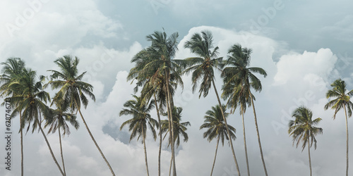Palm Trees and Pastel Clouds Background