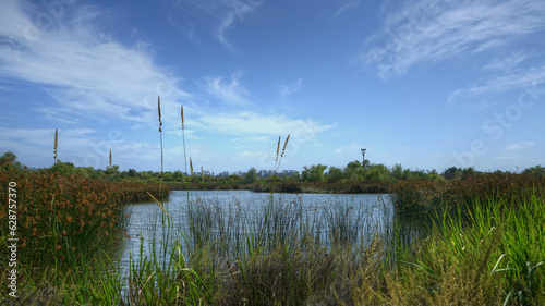 View over a blue pond in San Joaquin Wildlife Sanctuary in Irvine, California photo