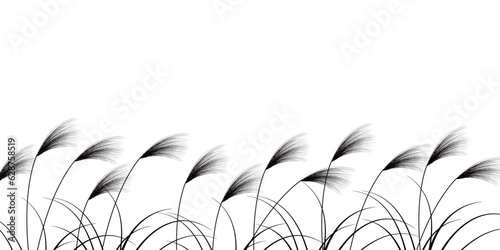 ススキ　秋　十五夜　背景