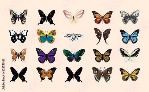 Collection Of Colorful Butterflies Vector Illustration