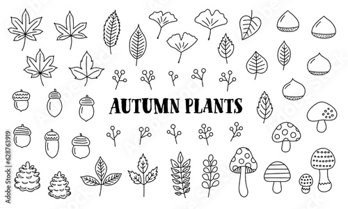 秋の植物の手書き線画ベクターイラストセット／紅葉・イチョウ・どんぐり・栗・きのこ・赤い実