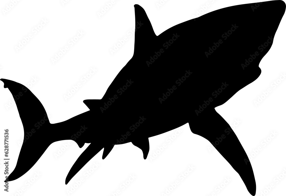 The Shark illustration for wild life or ocean concept. The Shark illustration for wild life or ocean concept.