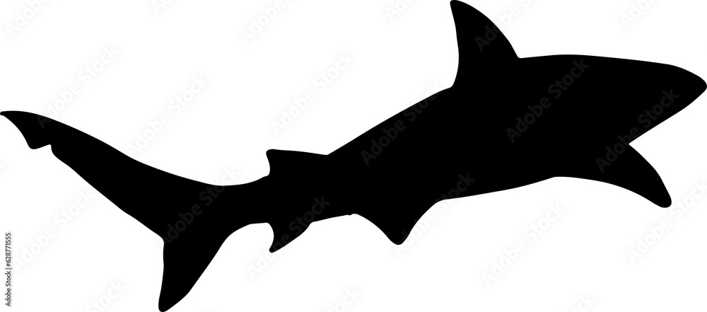 The Shark illustration for wild life or ocean concept. The Shark illustration for wild life or ocean concept.