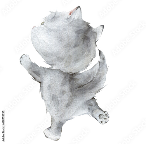 Little fluffy grey kitten watercolor illustration. Scottish fold isolated on white background. Spotted cat. pet cat cartoon for kids, posters, stickers, textile.