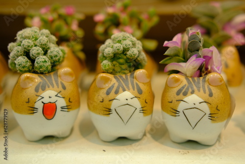 Cute cat ceramic pot with flowers and plants