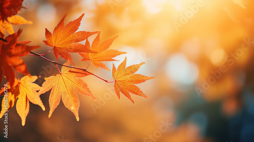 Autumn leaves background. AI