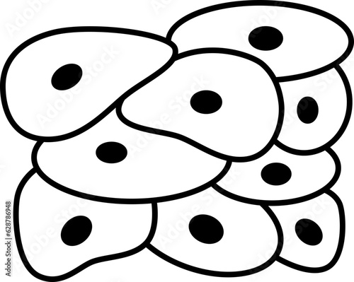 cells  icon