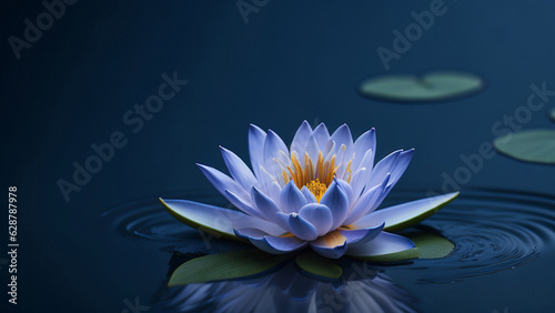 Blue water lily on dark blue background with reflection in water.