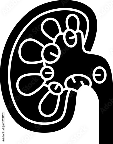 kidney  icon