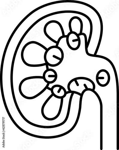 kidney  icon