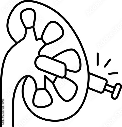 kidney  icon