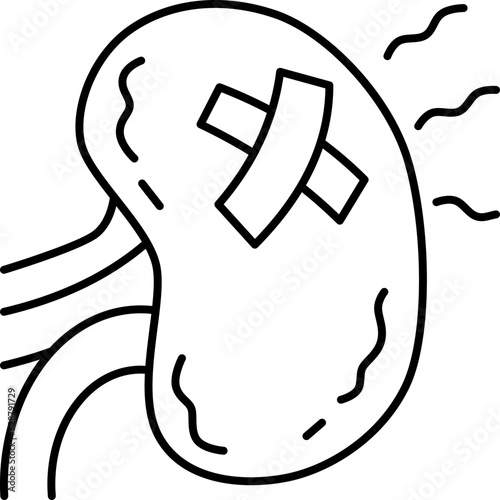 kidney  icon