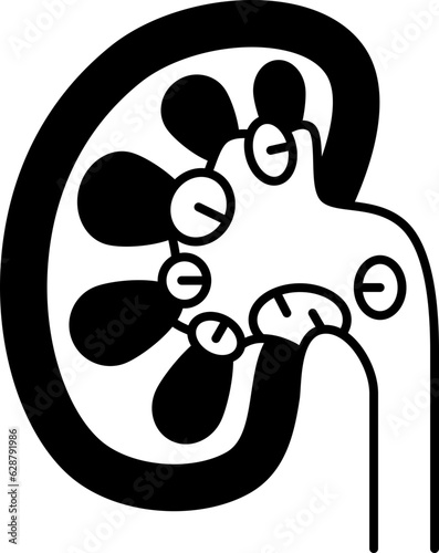 kidney  icon