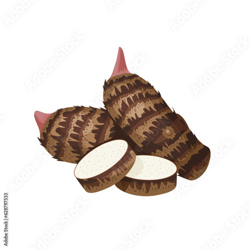 Vector illustration of taro or Colocasia esculenta, with slices, isolated on white background