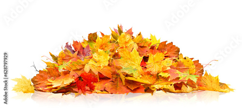 pile of autumn leaves isolated on white background
