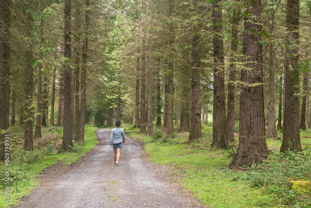 Obraz premium Hiker walking through the forest breathing fresh air. Gorbeia Natural Park