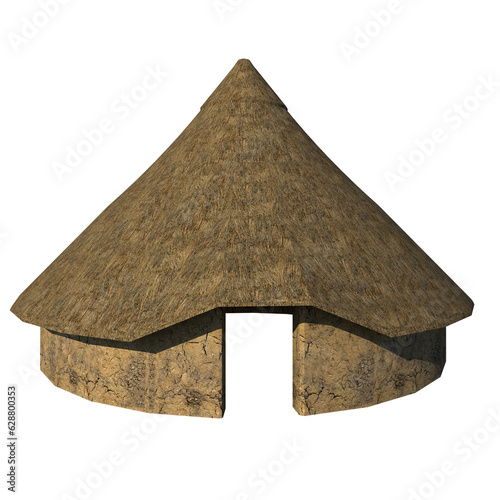 Traditional tribal house
