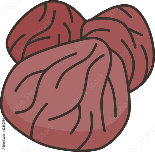 raisins  icon