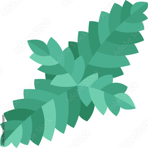 spearmint  icon