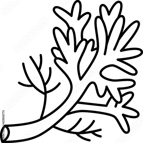 dill  icon