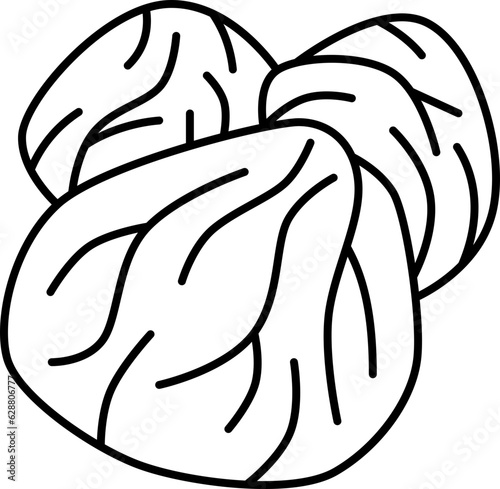 raisins  icon